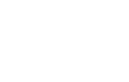 ai.pundits